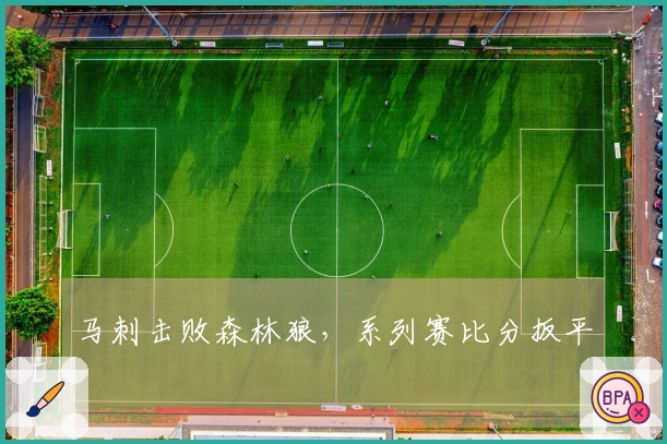 马刺击败森林狼，系列赛比分扳平